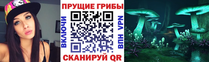 Псилоцибиновые грибы GOLDEN TEACHER  купить наркотики сайты  Мценск 